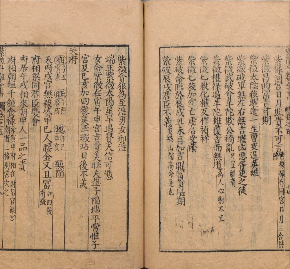 Page from the Ming-dynasty Zi Wei Dou Shu Quan Shu