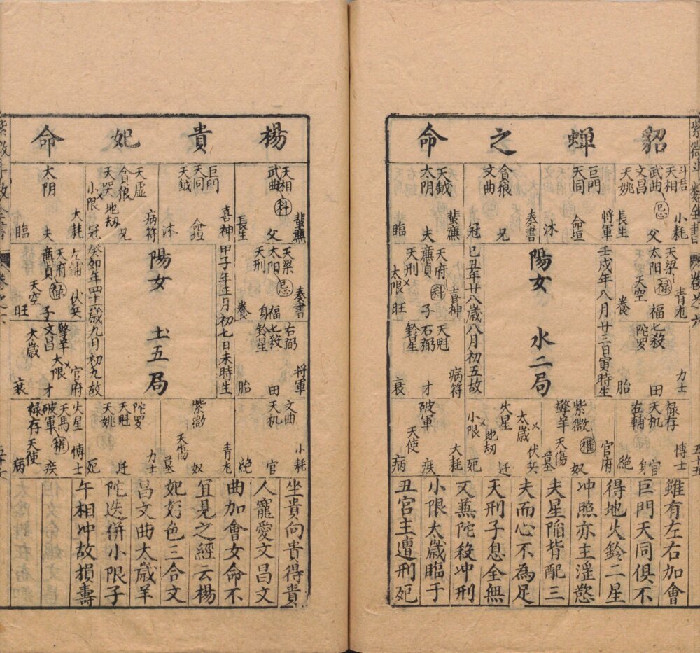 Page from the Ming-dynasty Zi Wei Dou Shu Quan Shu