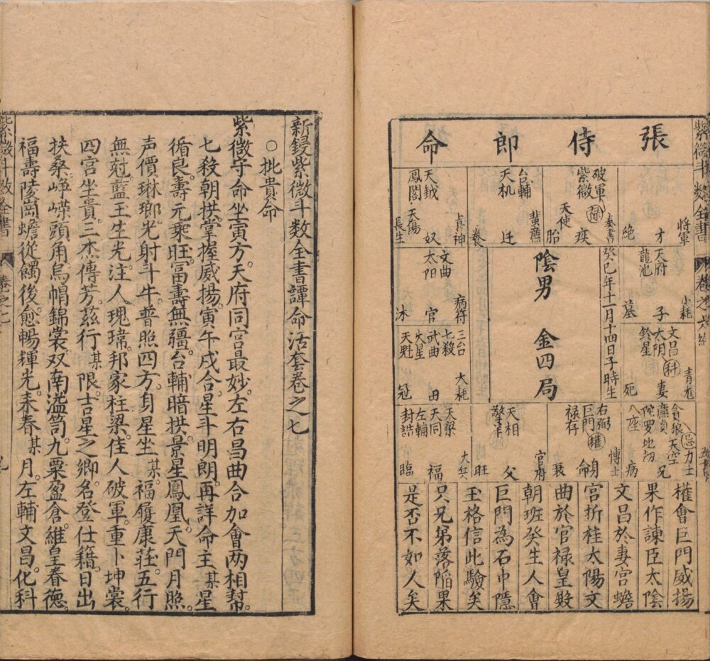Page from the Ming-dynasty Zi Wei Dou Shu Quan Shu